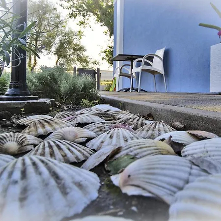 Bed & Breakfast Il Sole Nel Mare - Lido Di Volano 3*