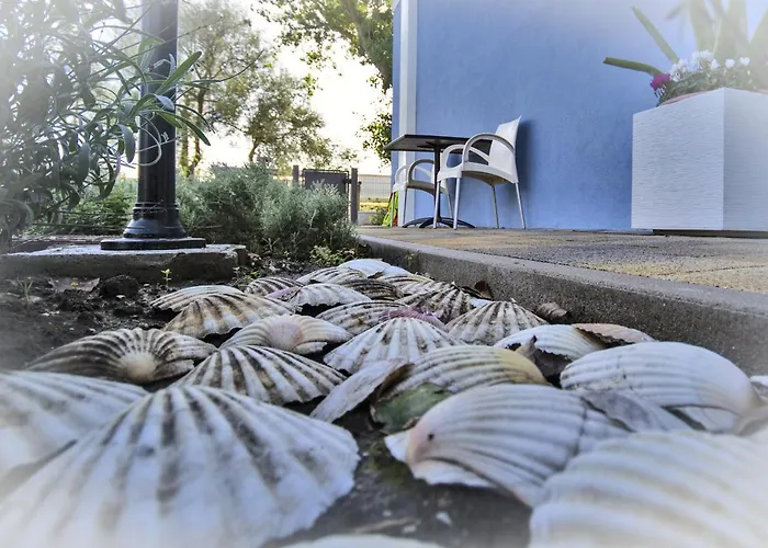 Alojamento de Acomodação e Pequeno-almoço Il Sole Nel Mare - Lido Di Volano 3*